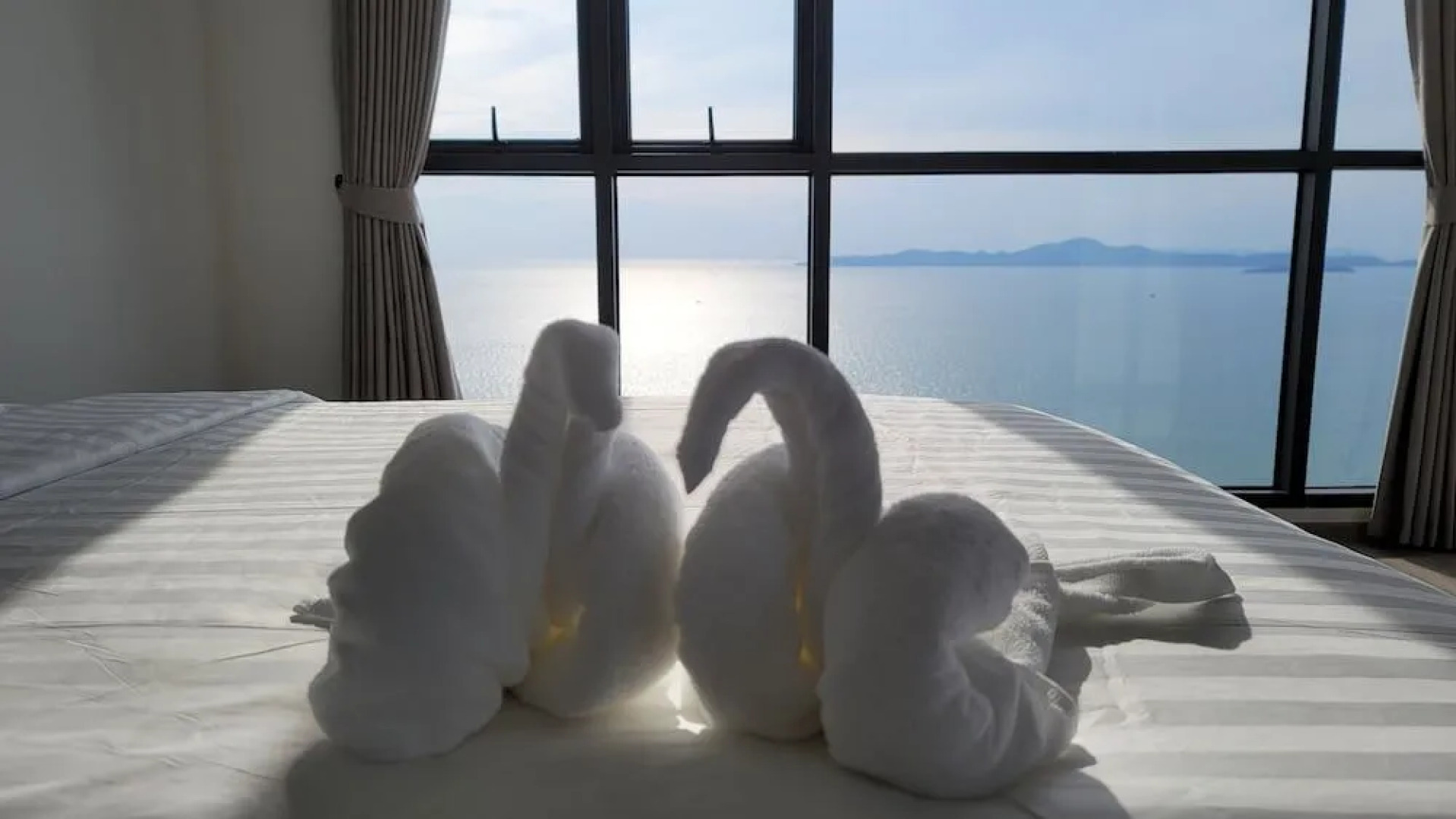 The Andromeda Condominium