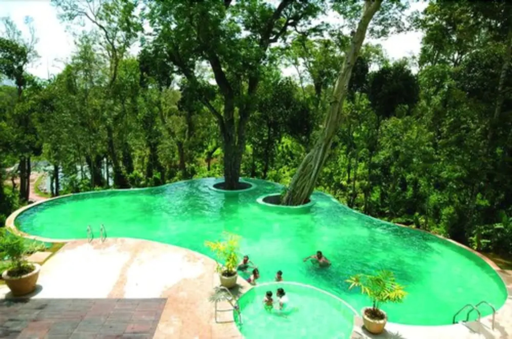 The Windflower Resorts & Spa