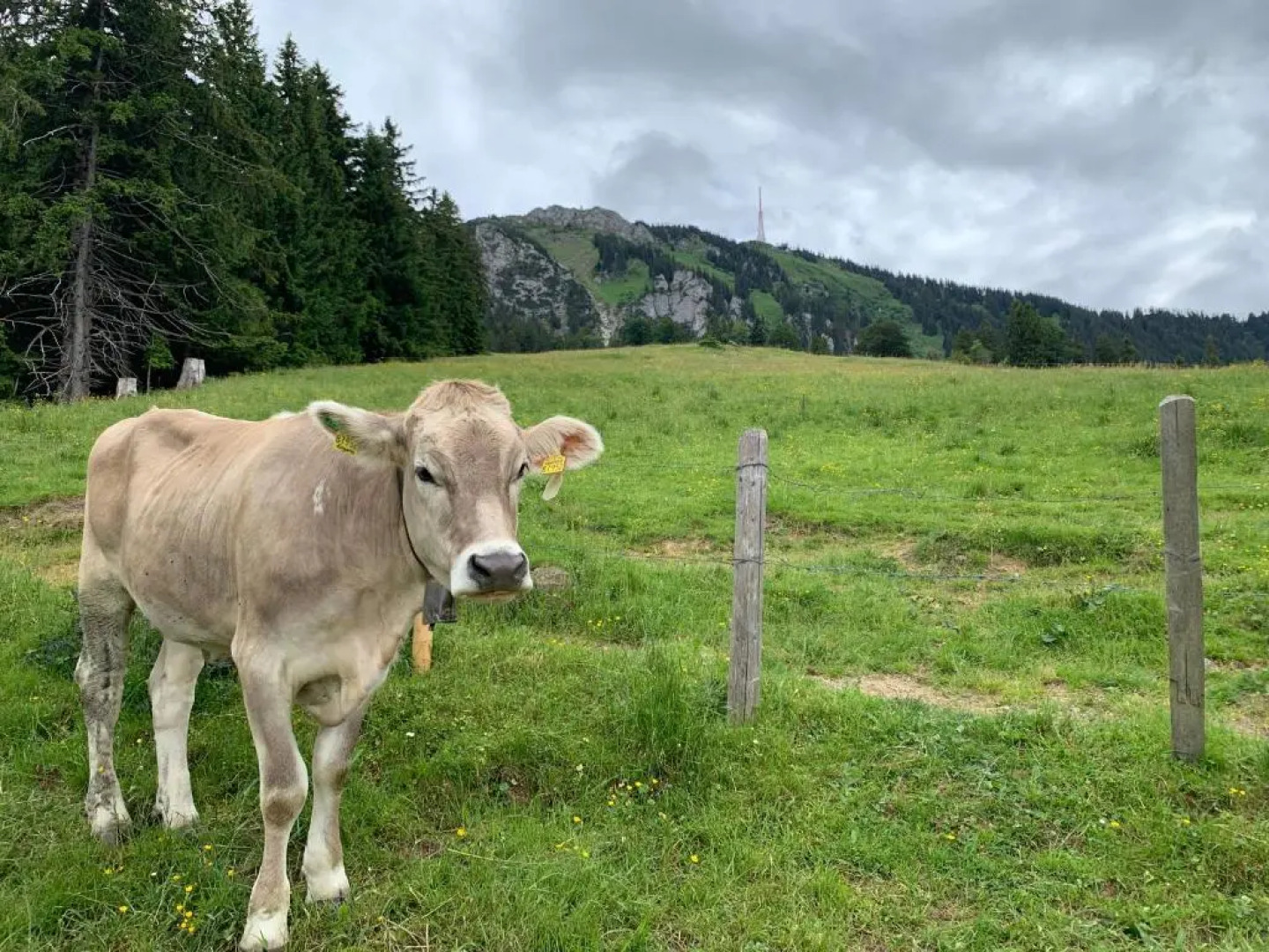 Ferienwohnungen Im Dorfwirt