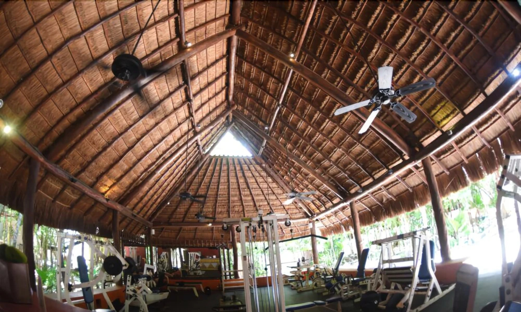 Tropical Location Riviera Maya