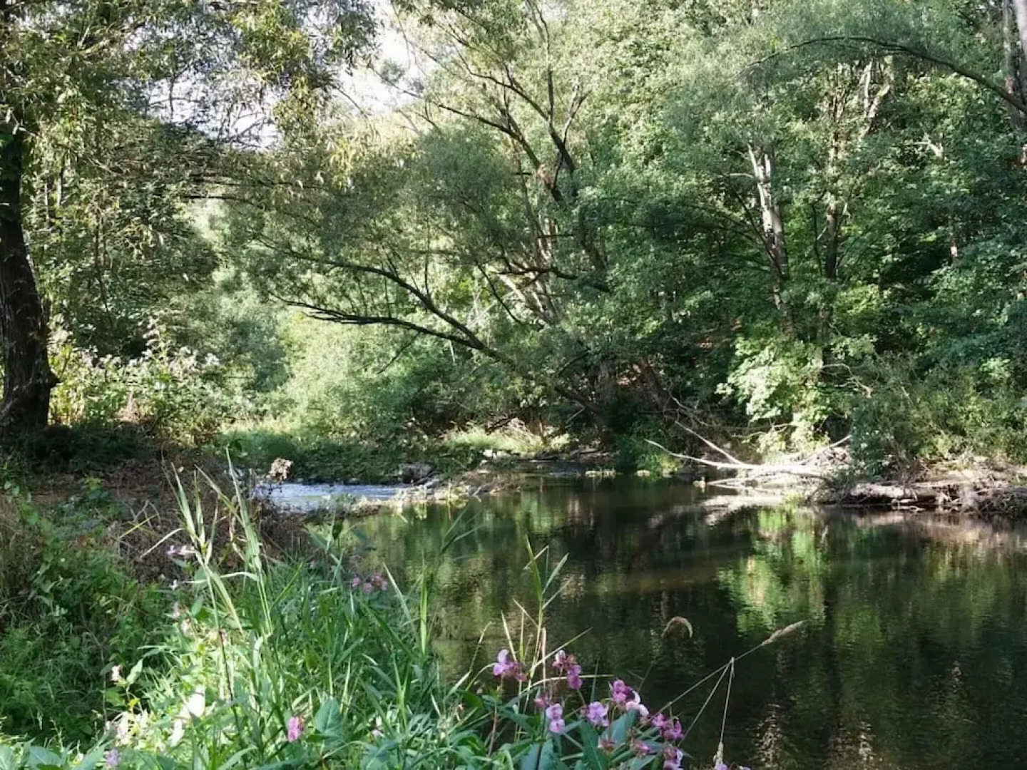 Holiday Apartment Haus Bodefurt - Apartment 2