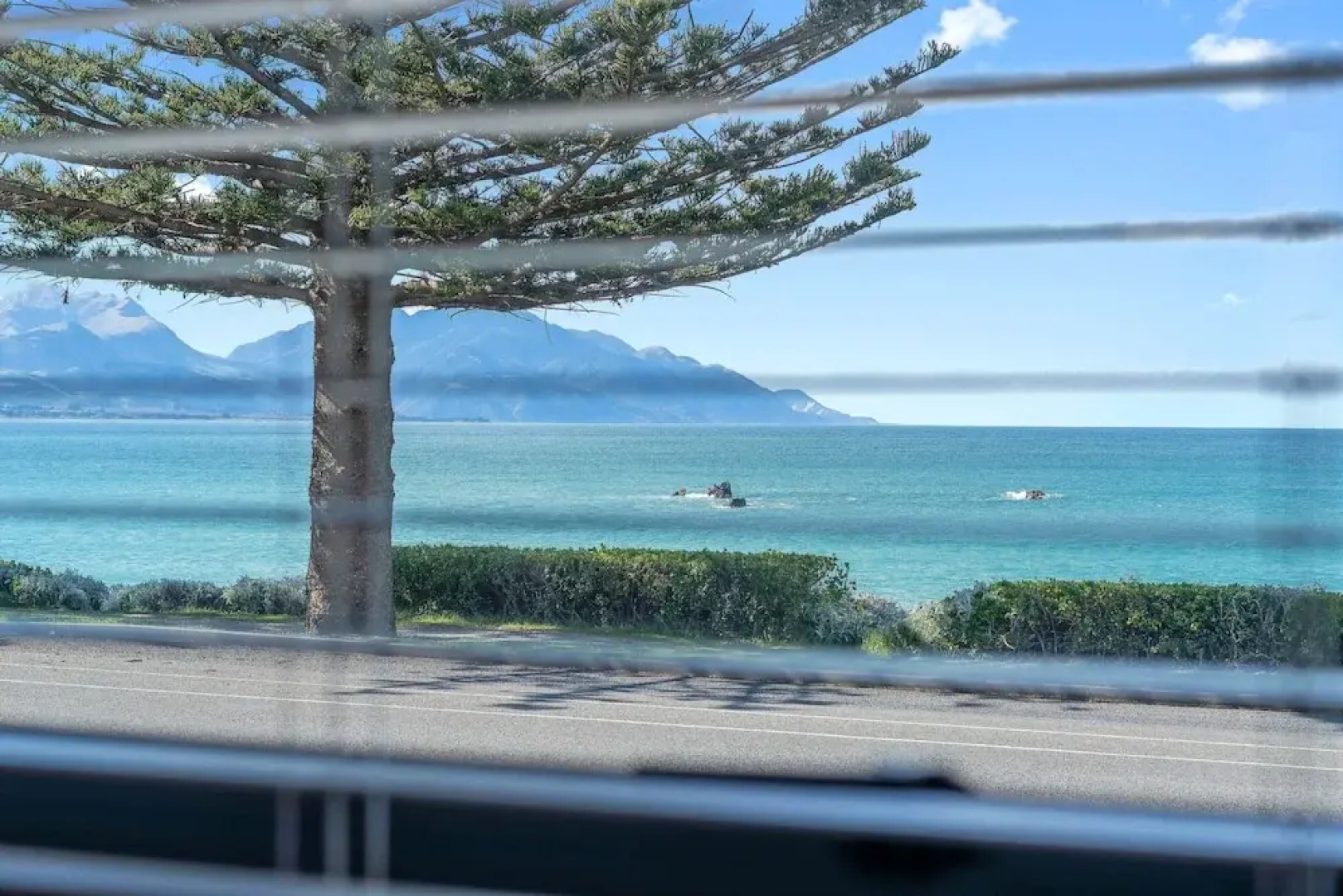 Norfolk Pine Beachfront Motel