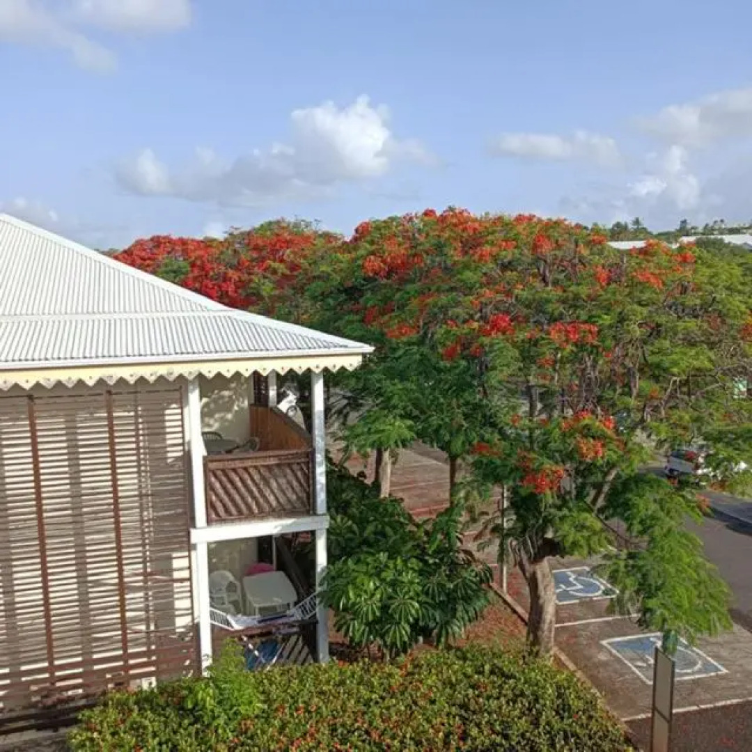 Studio Hibiscus Le Kayela