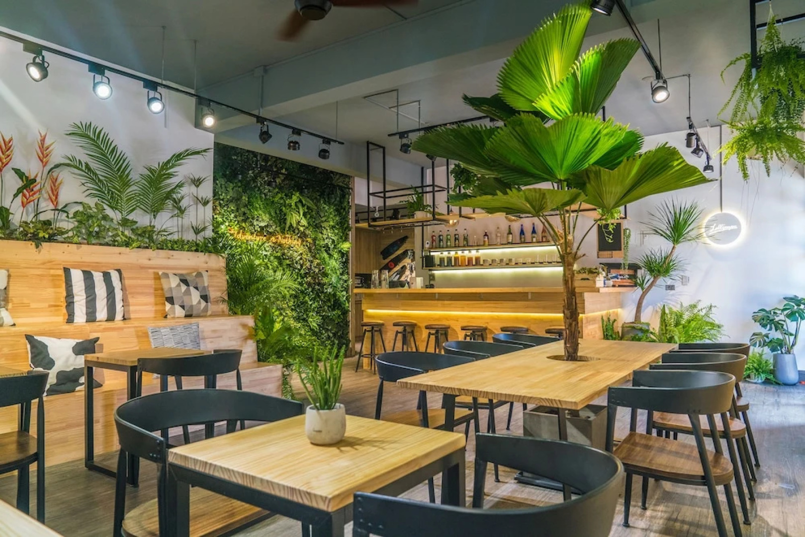 OFUCOS Diving Hostel