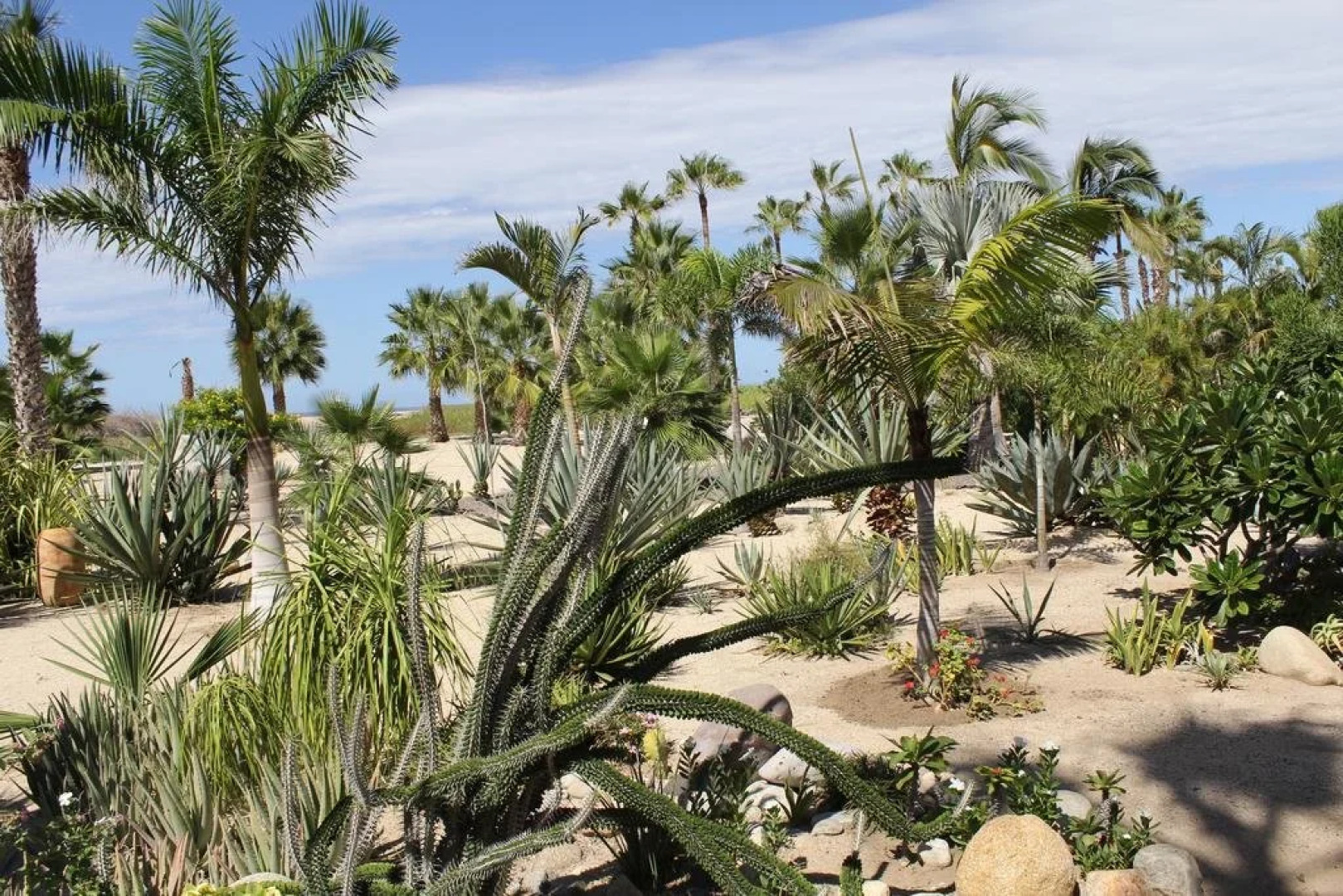 Hotel Posada La Poza