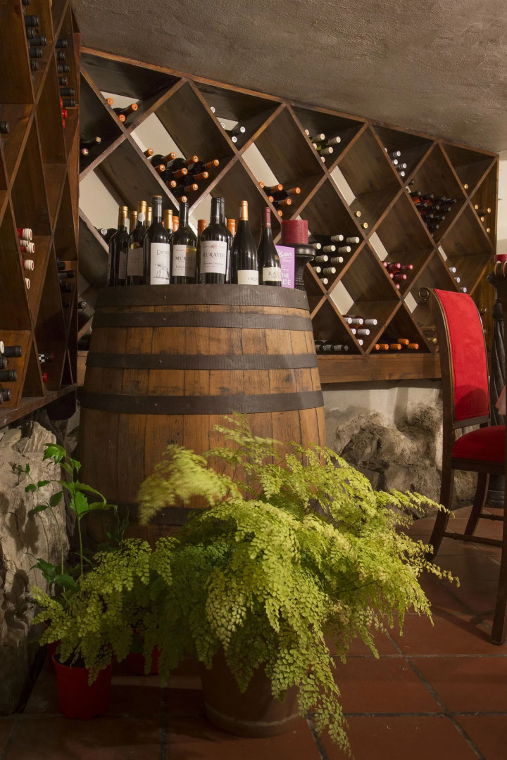 The Fernery Lodge and Spa