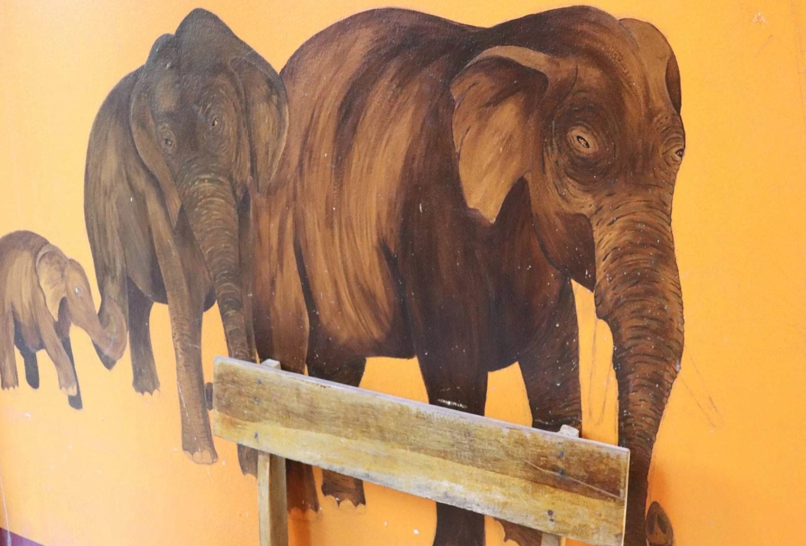 Trekker Camp Chiang Mai - Hostel