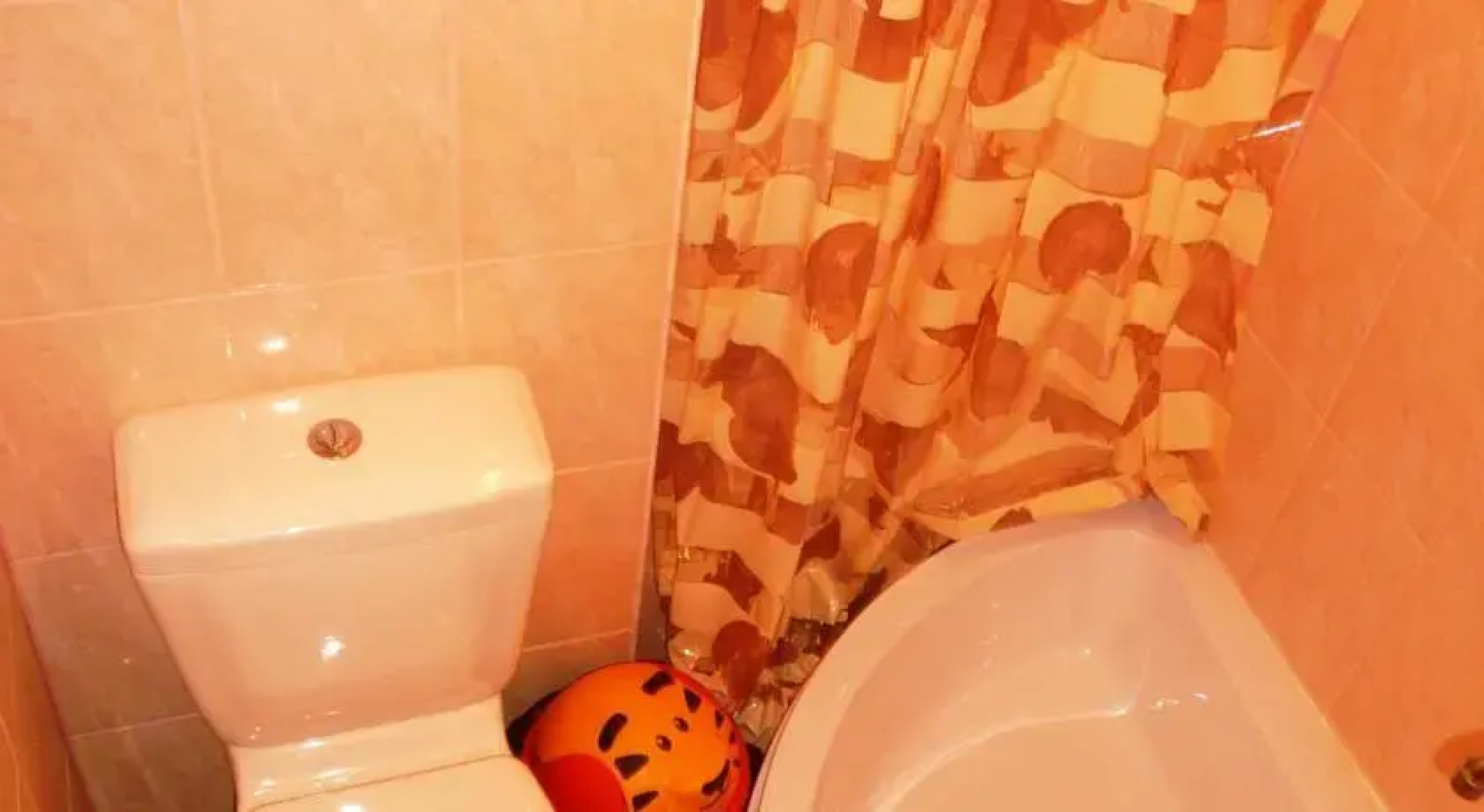 Apartment Niedras Jurmala