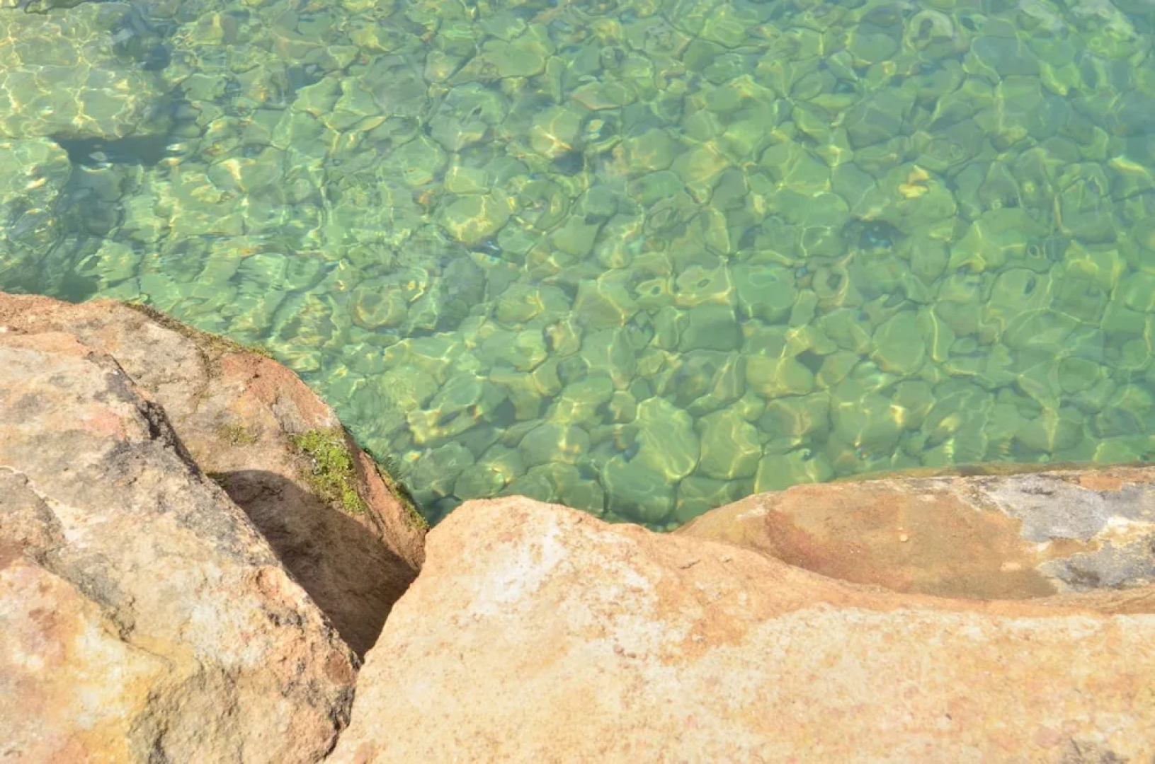 Natura Treescape Resort