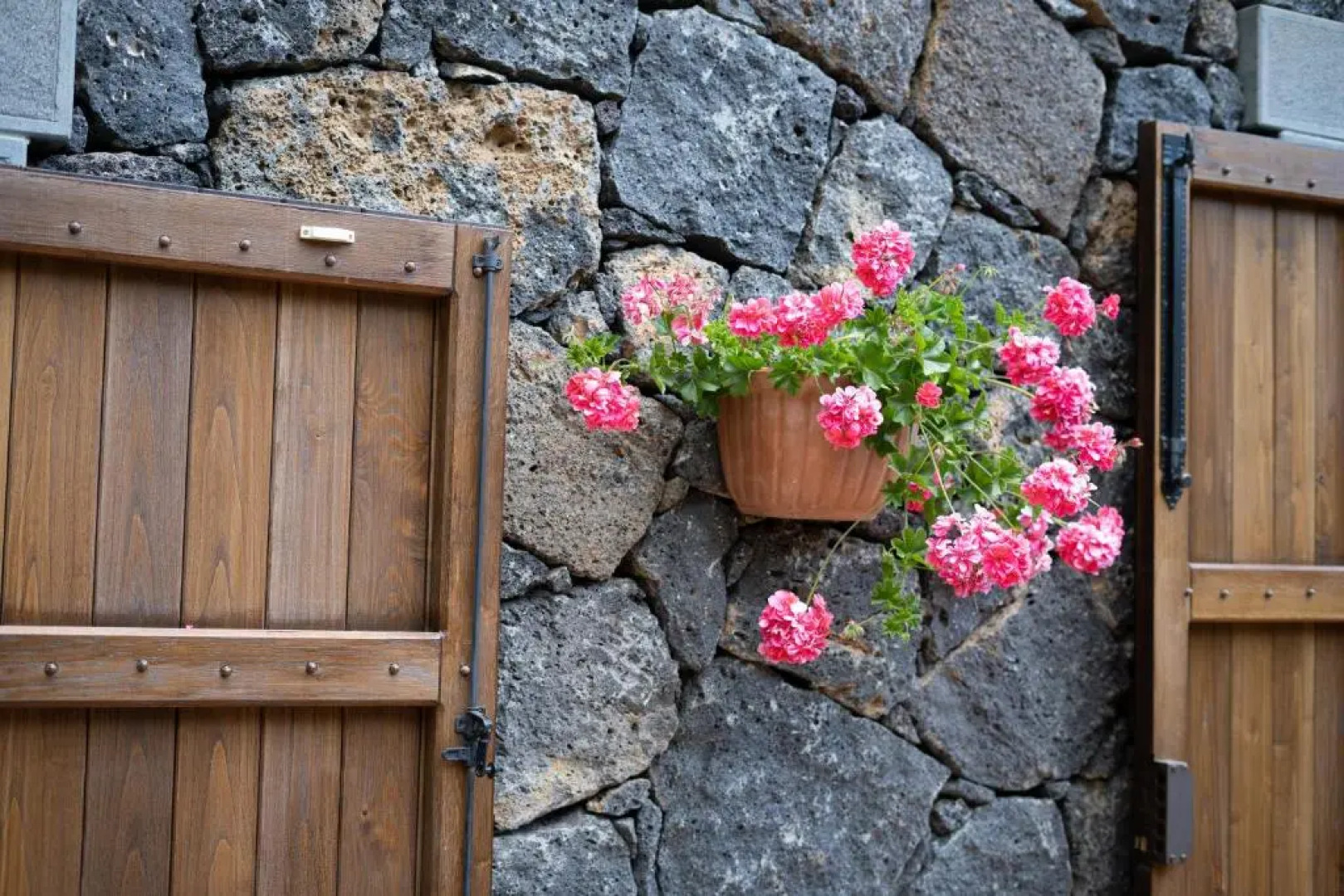 Il Castagno dell'Etna
