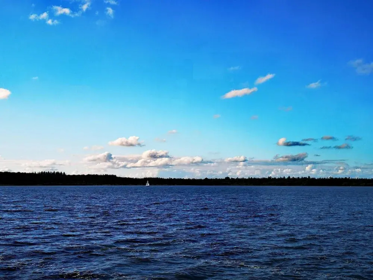 Charmantes Ferienhaus mit Kamin in Lintig