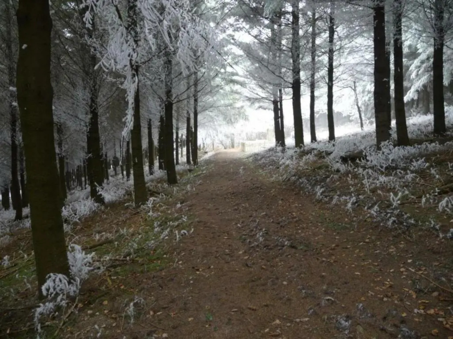 Gîte Saint-Cyr-de-Valorges, 5 pièces, 8 personnes - FR-1-496-17