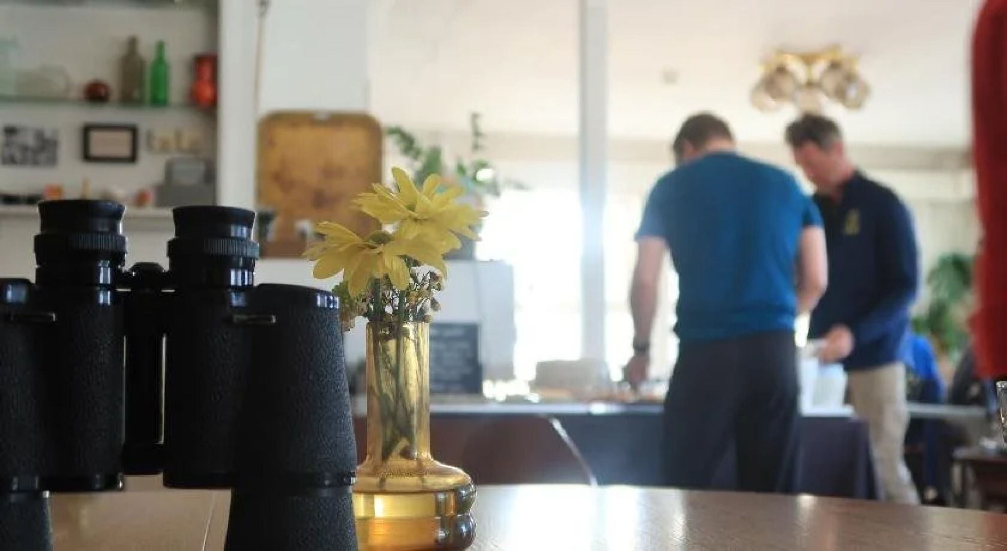 Magic Mountain Lodge - Lyngen