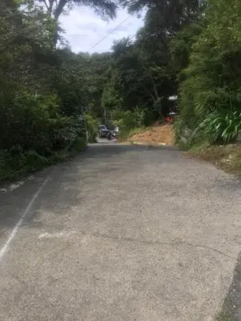 Waiheke Island Guesthouse