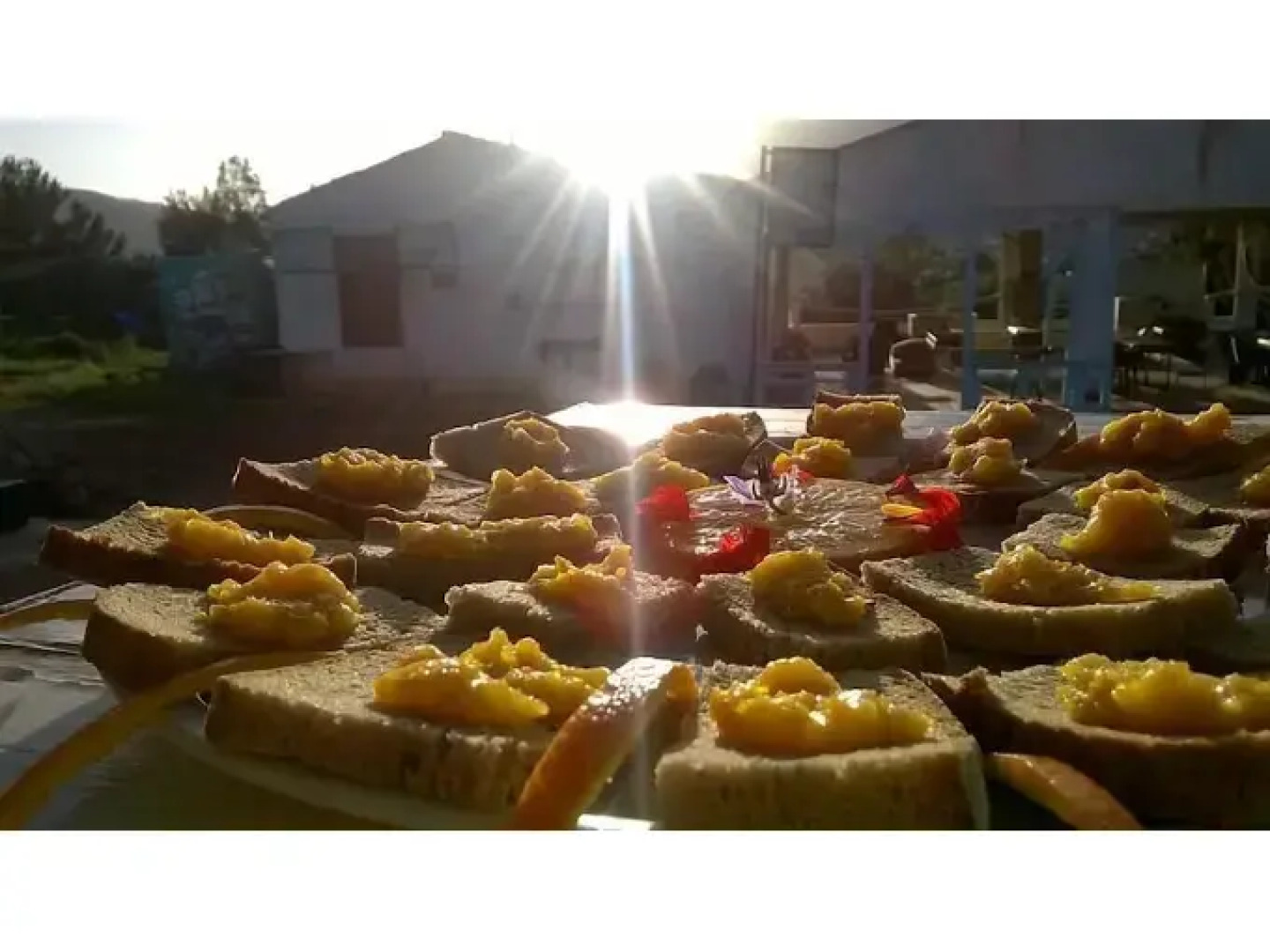 Camping Ciauli