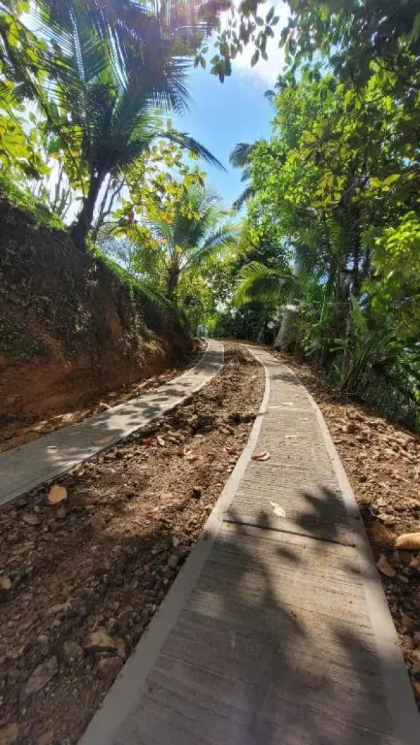 Private jungle “Loft del Rio” river access