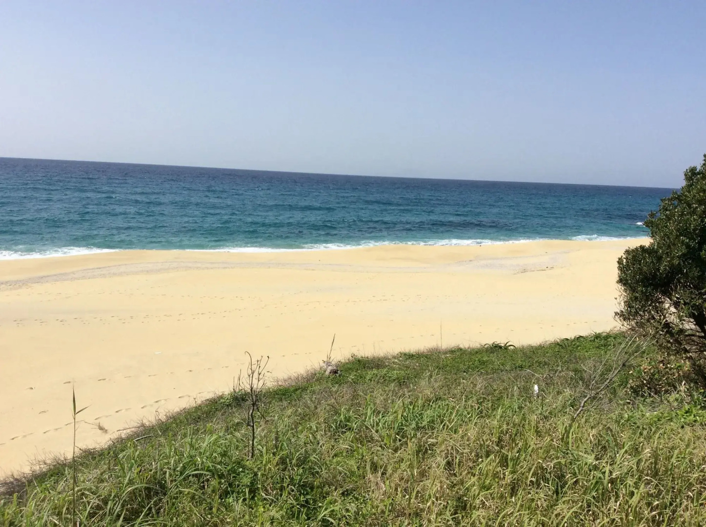 Marine Blue Yakushima