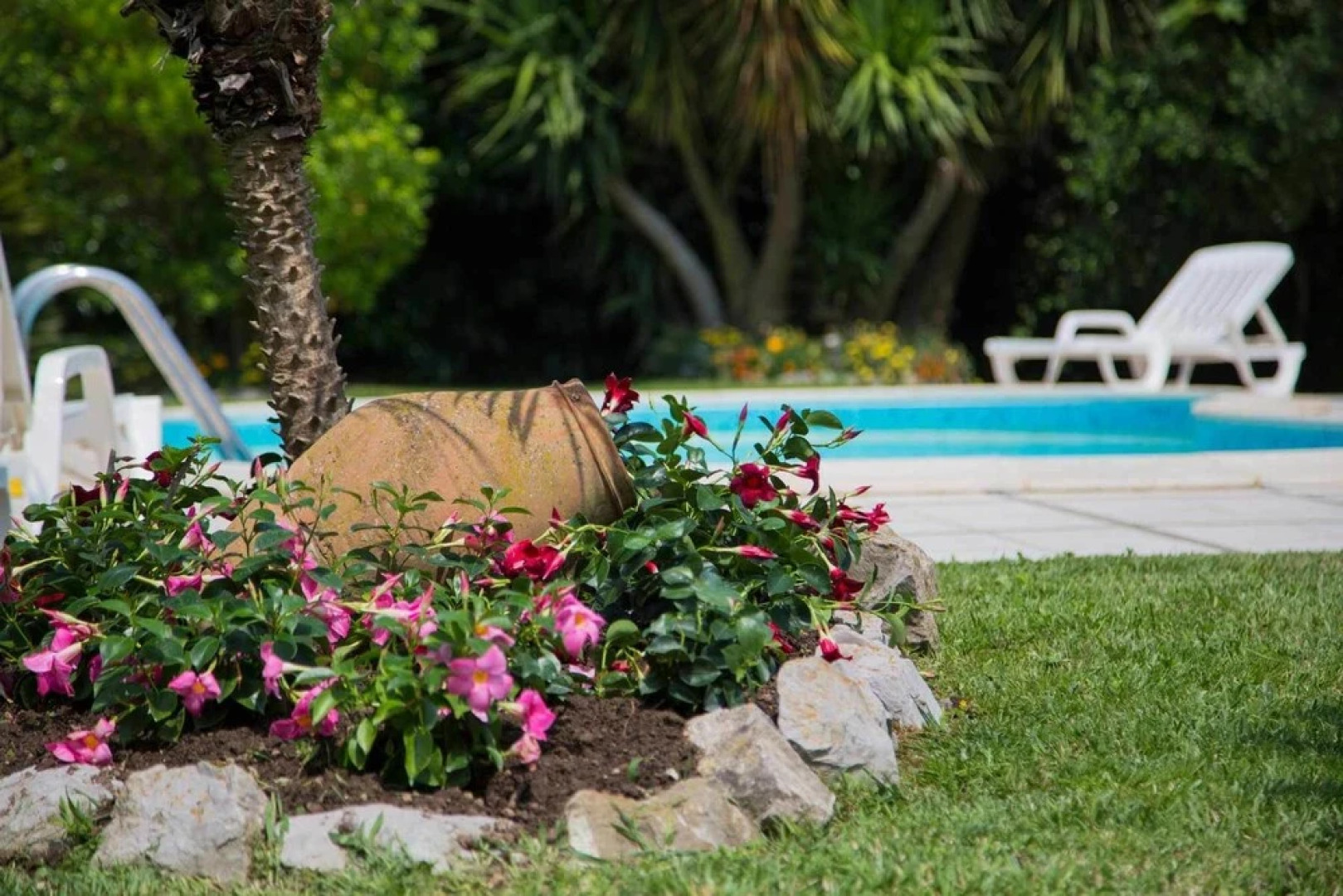 Villa La Pietra Verde - Sorrento