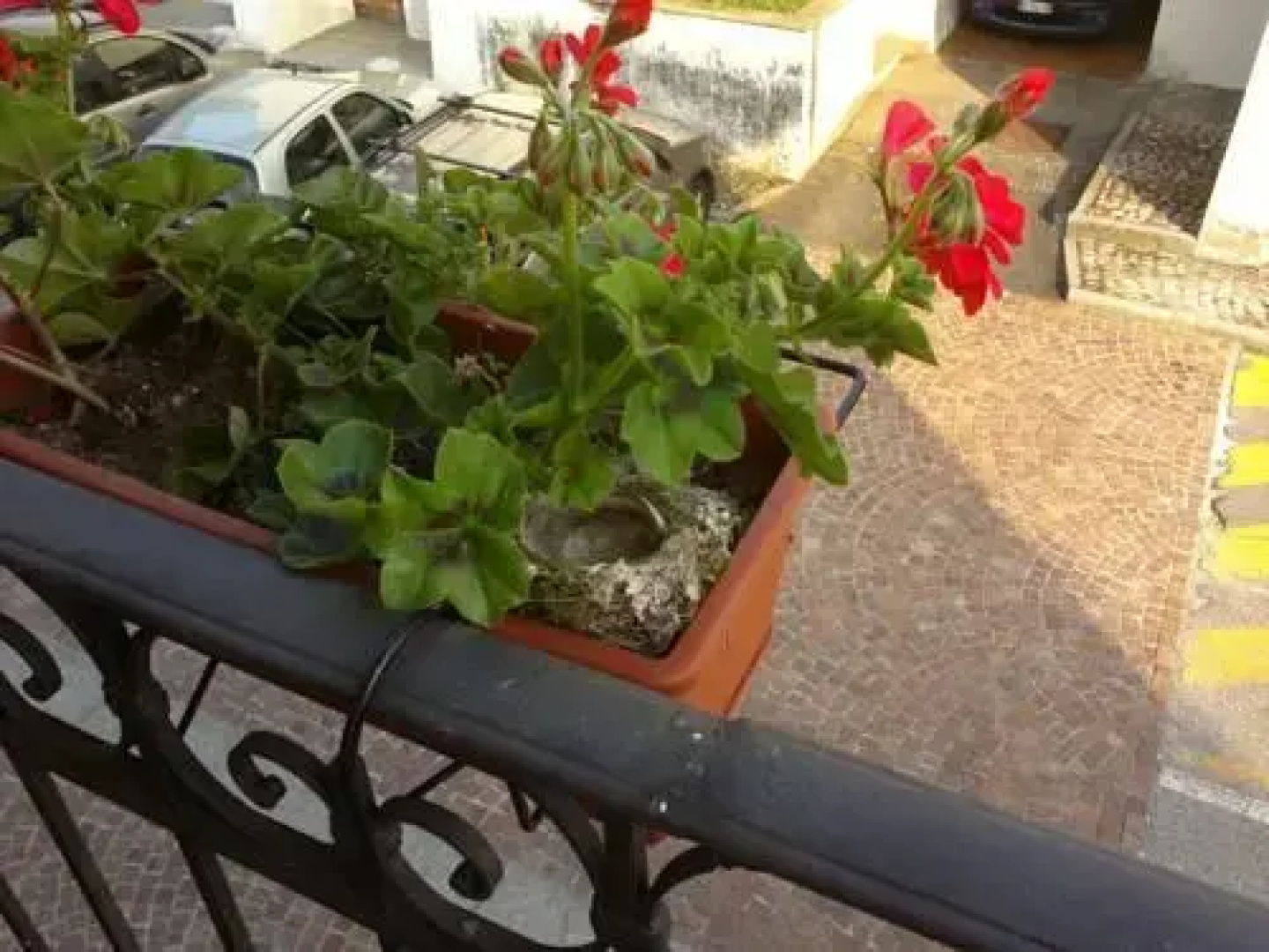 Locanda Posta