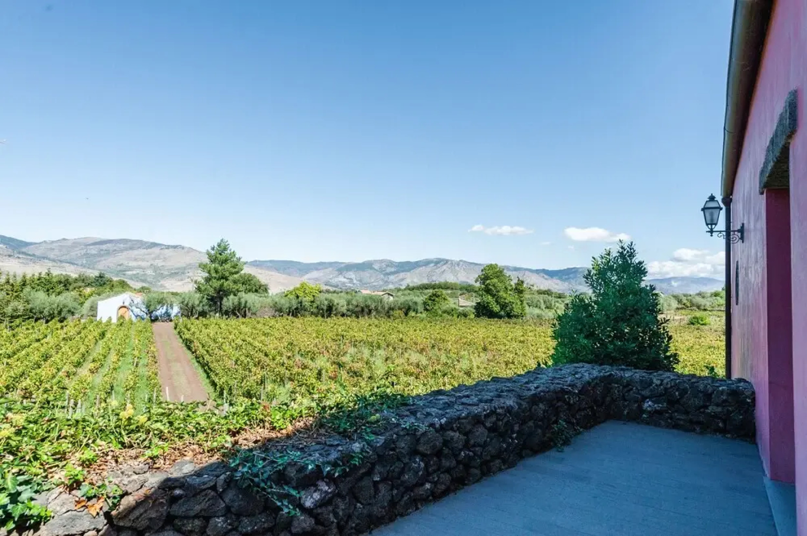 Terrazze dell'Etna - Rooms & Apartments