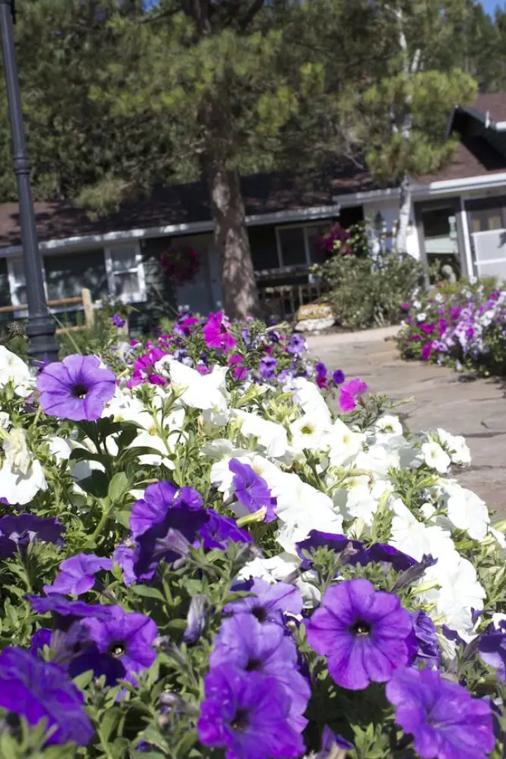 Black Elk Resort Cottages and RV Park