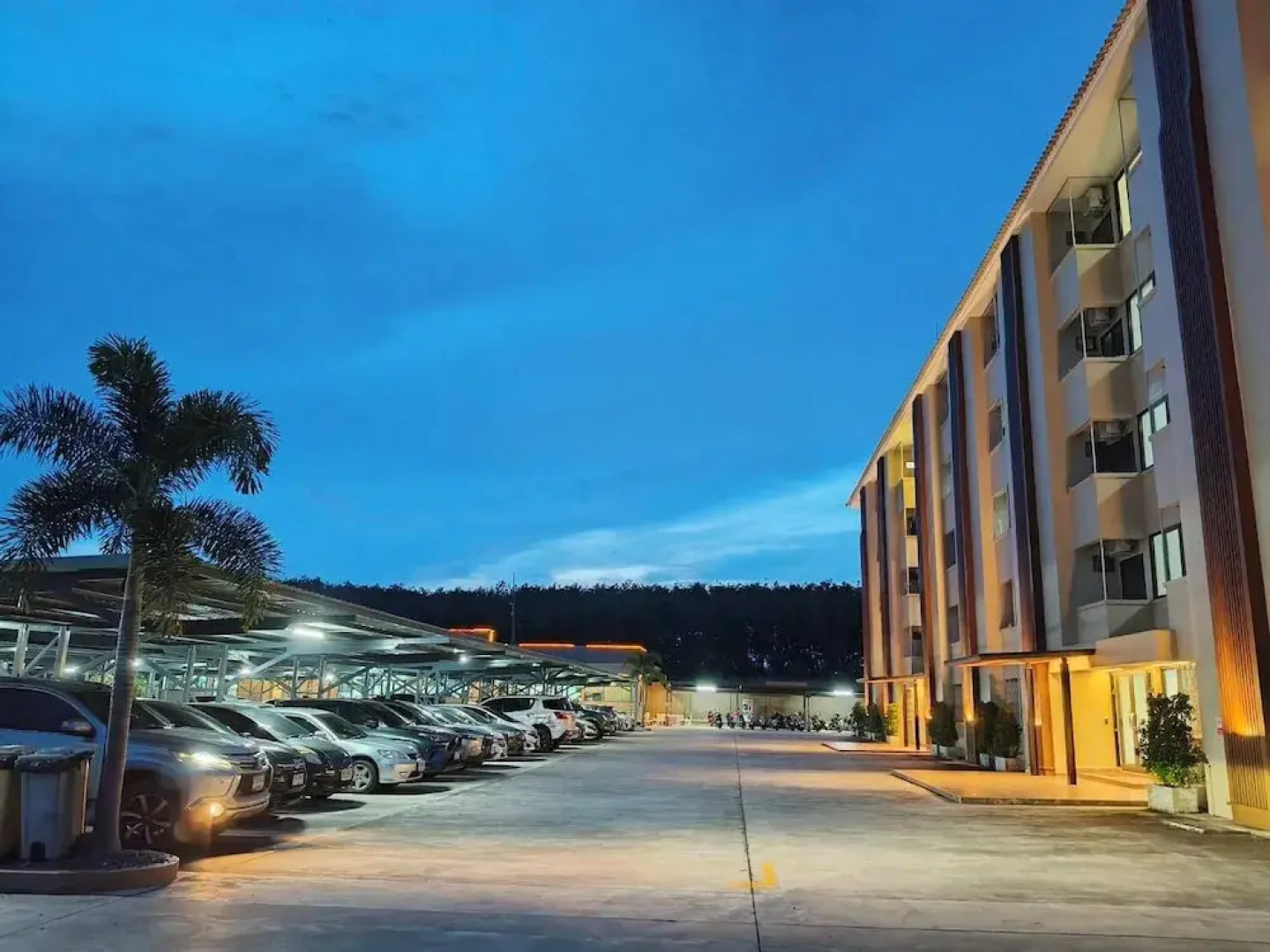 Penthouse Apartments