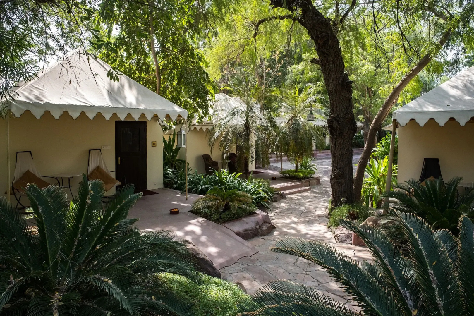 Ajit Bhawan - A Palace Resort