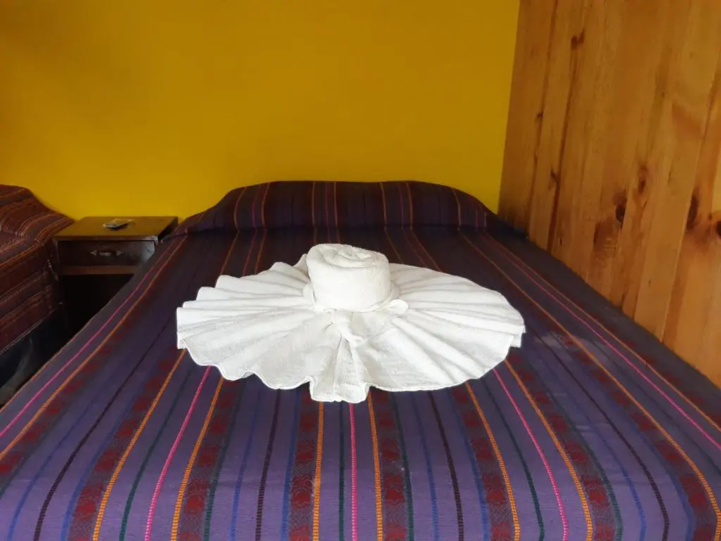 Hostal Oasis The Traveler - Hostel