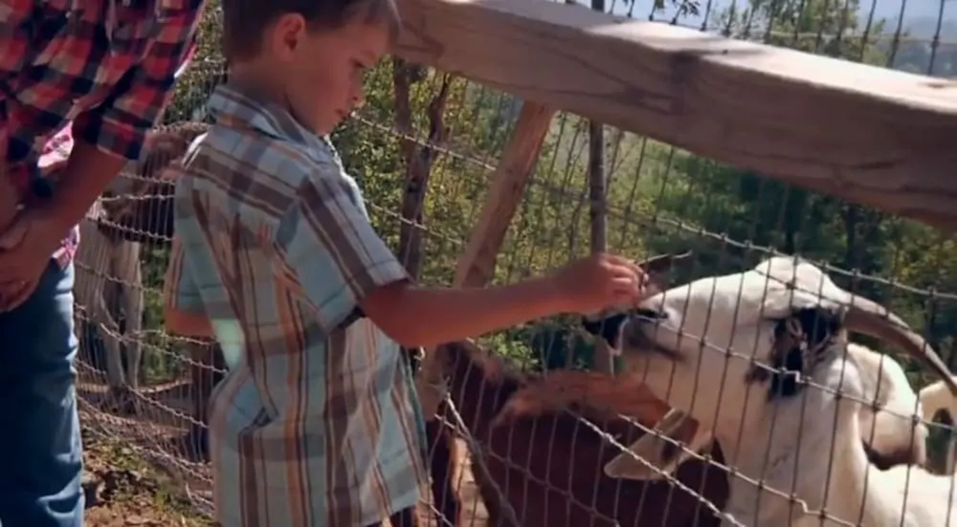 Pony Express - 2 Br Cabin