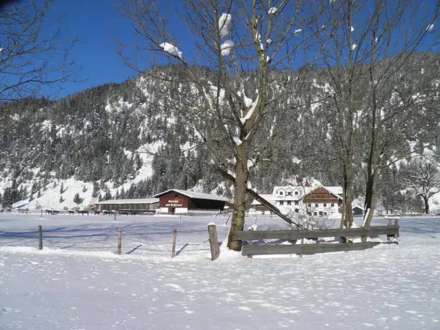 Hotel Gutshof zum Schluxen