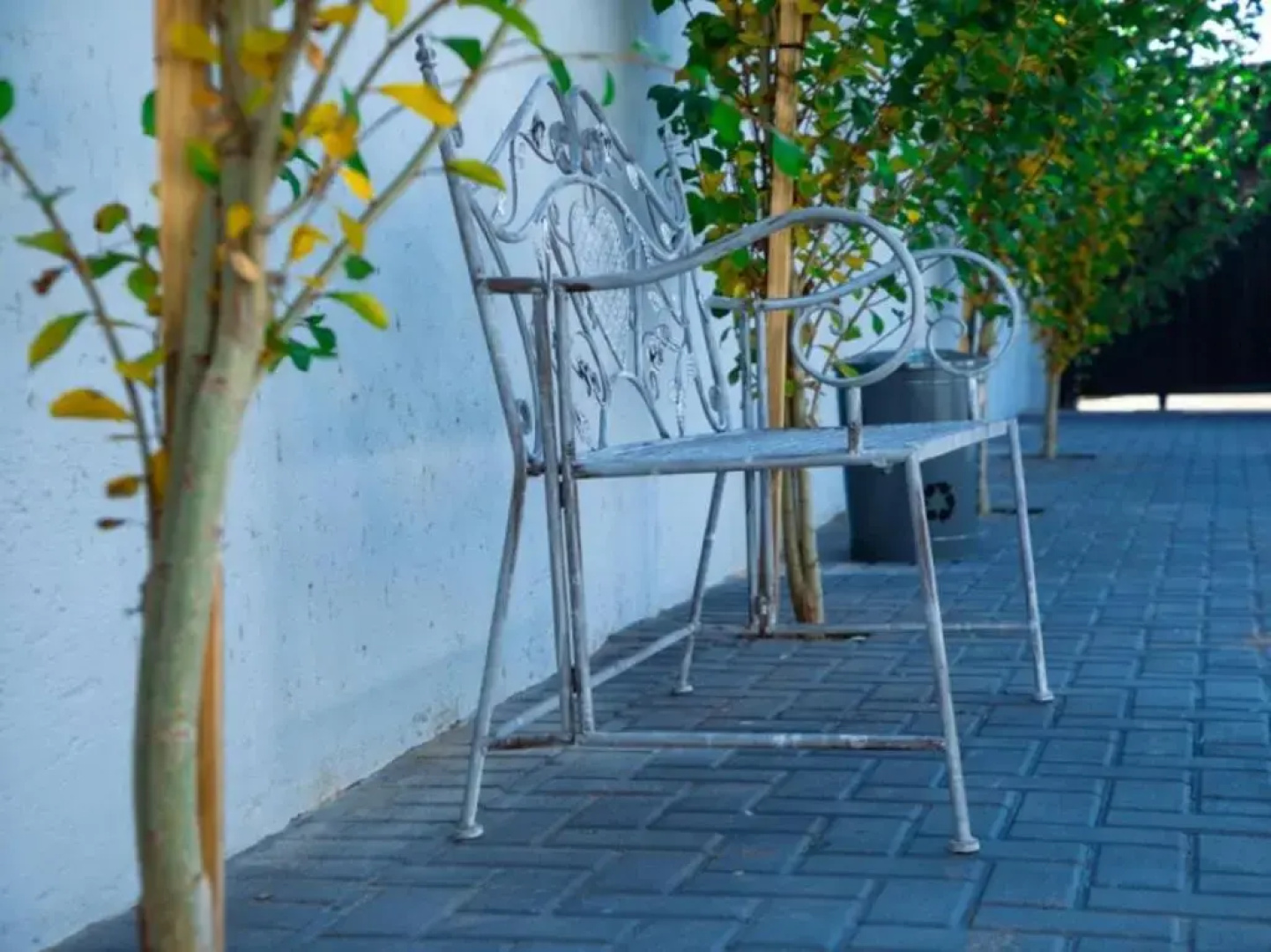Wilson Guest House
