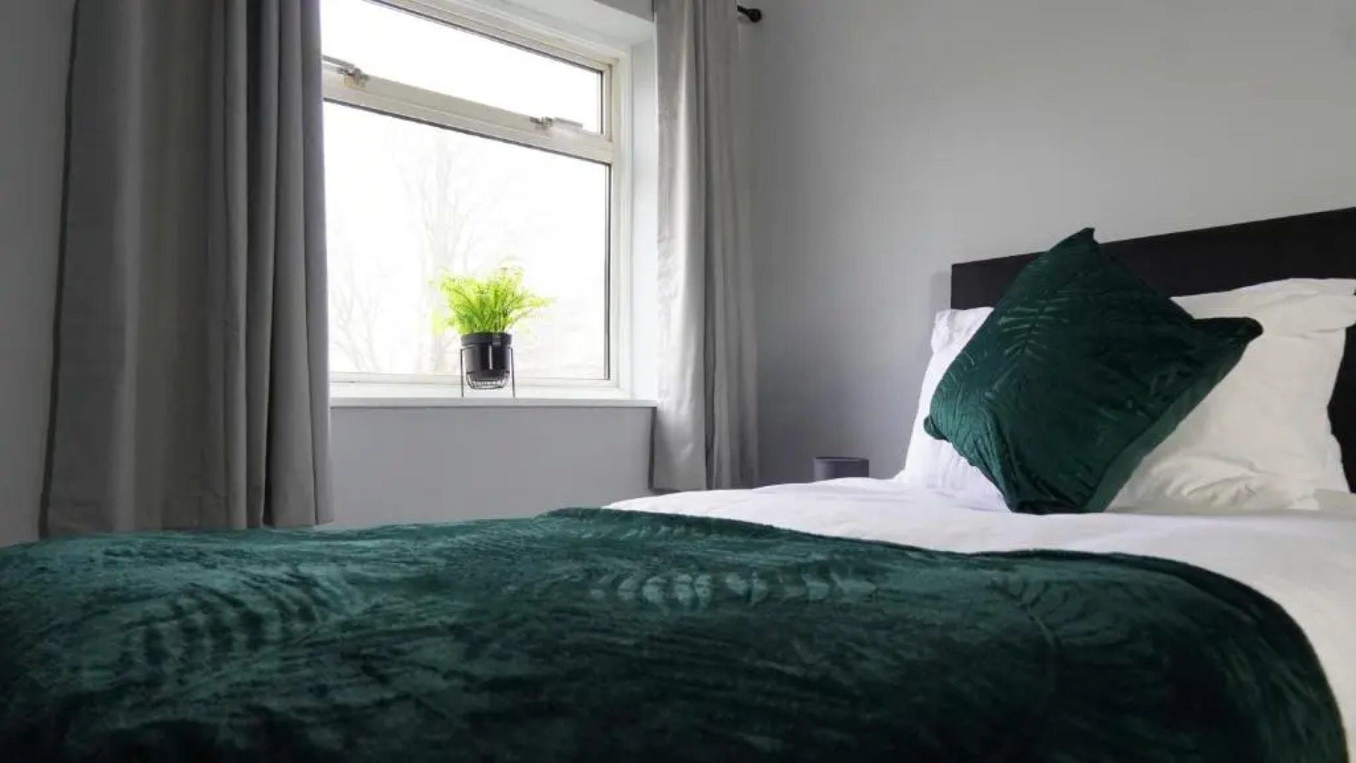 Portobello House - Four Bedroom House perfect for CONTRACTORS - Sleeps 6 - FREE parking