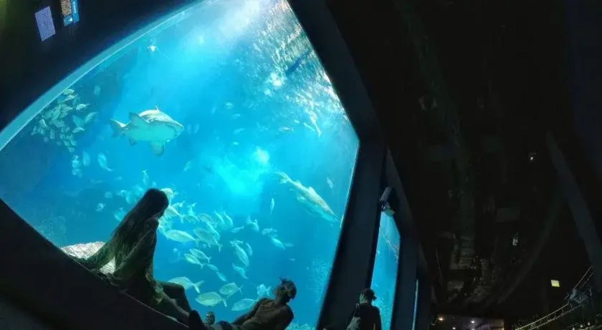 Blue Hole Dive Center