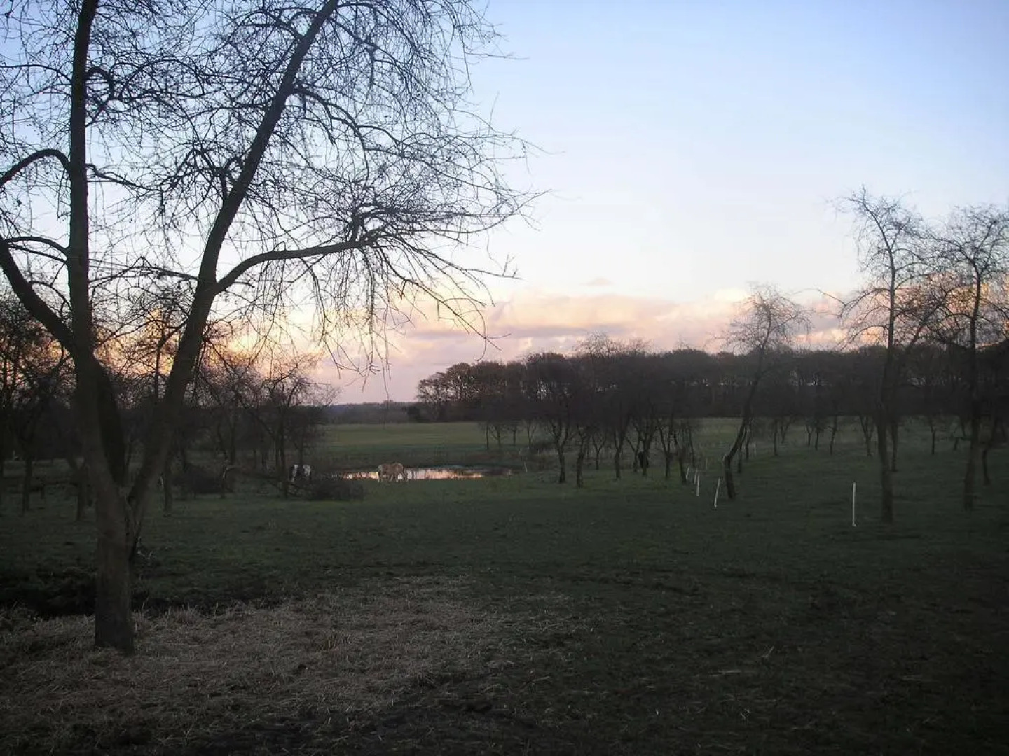 Teglgaarden bed and breakfast