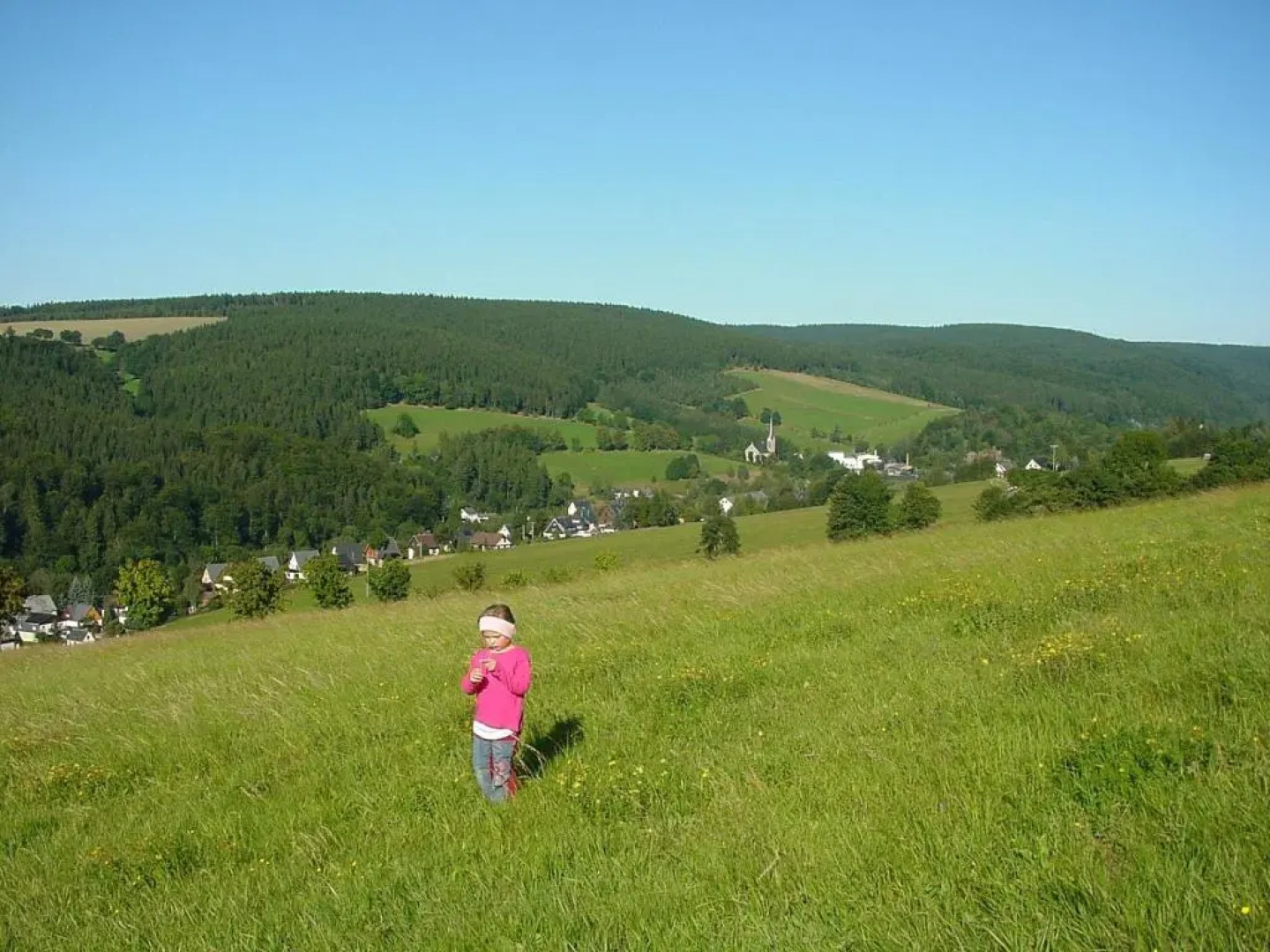 Ferienwohnung Erzhütte