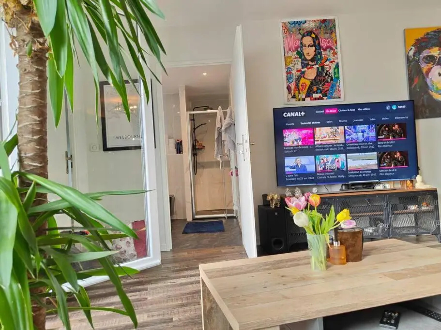 Cosy appartement avec balcon exposé SUD