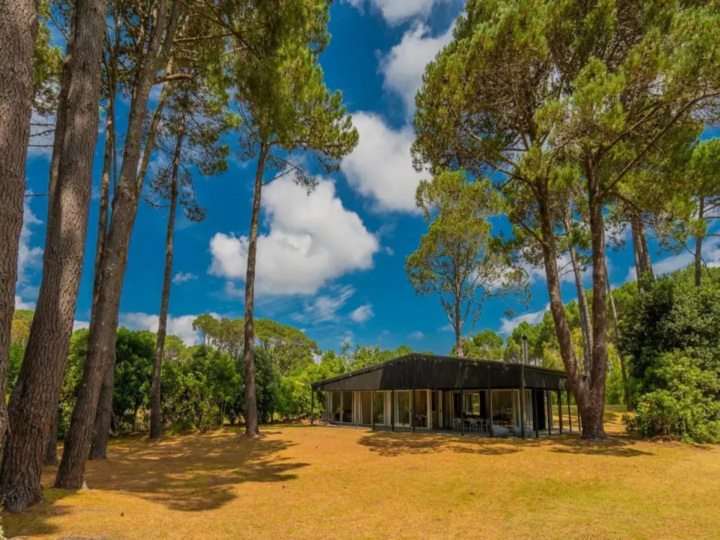 The Golden Hideaway - Matarangi Holiday Home