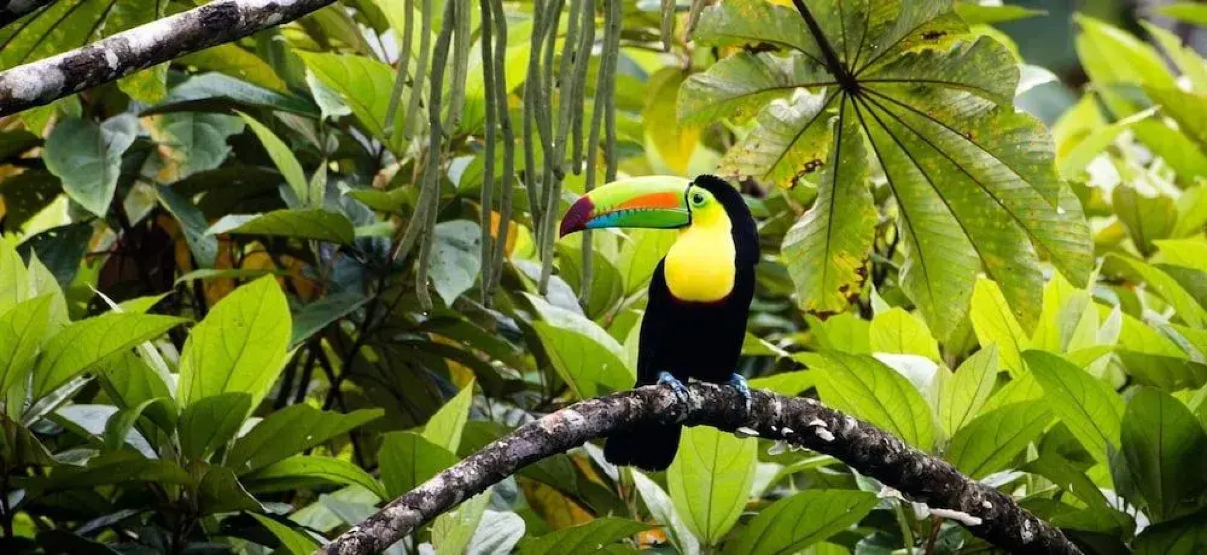 Villa # 3 - High End Studio Apartment