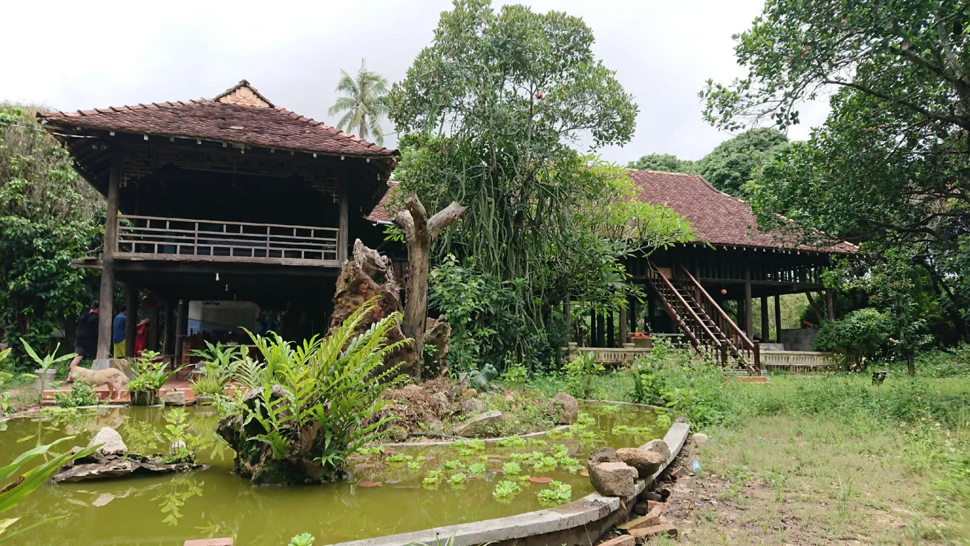 Vuon Thu Guest House Garden