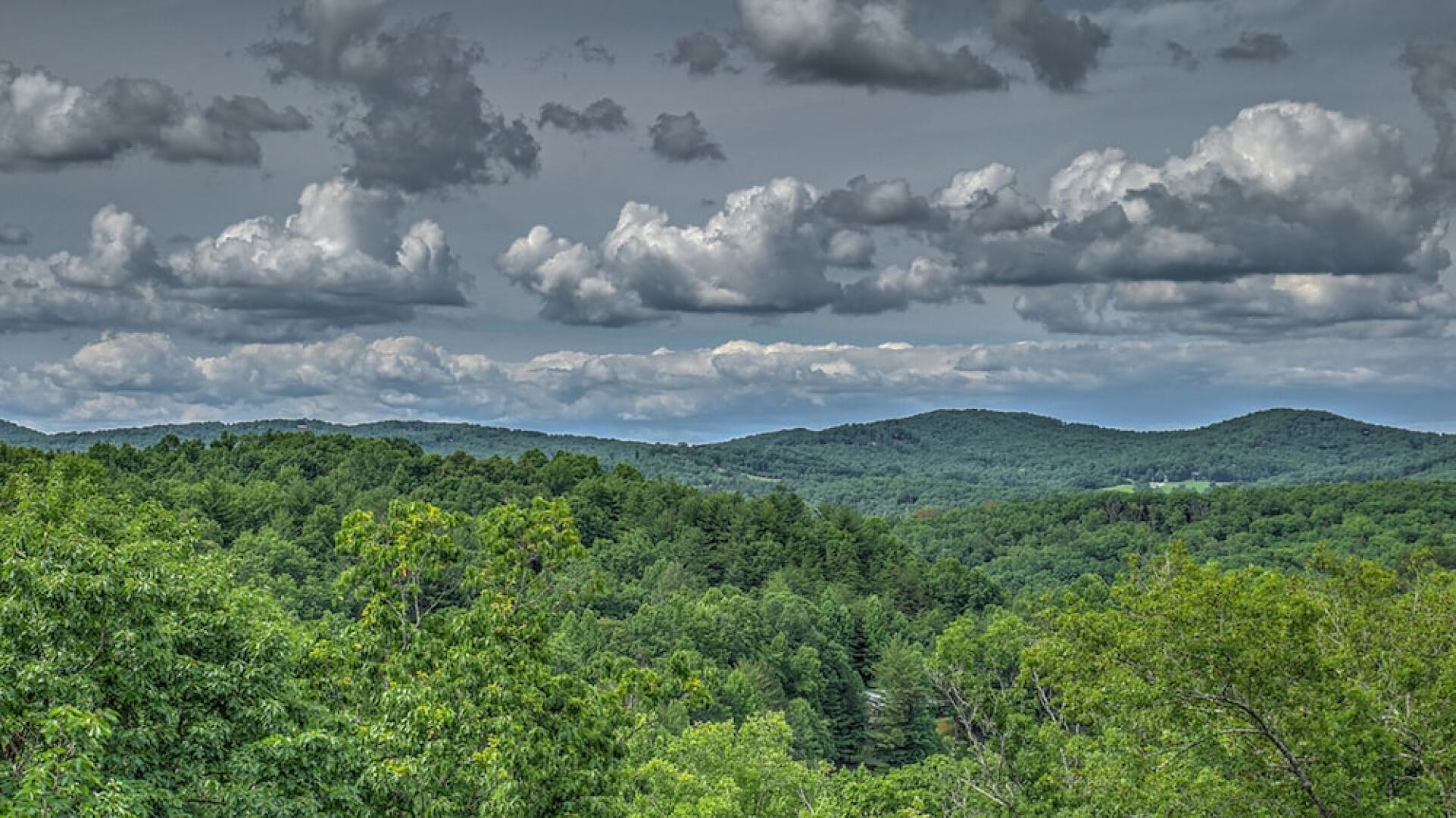 Secluded Serenity by Escape to Blue Ridge