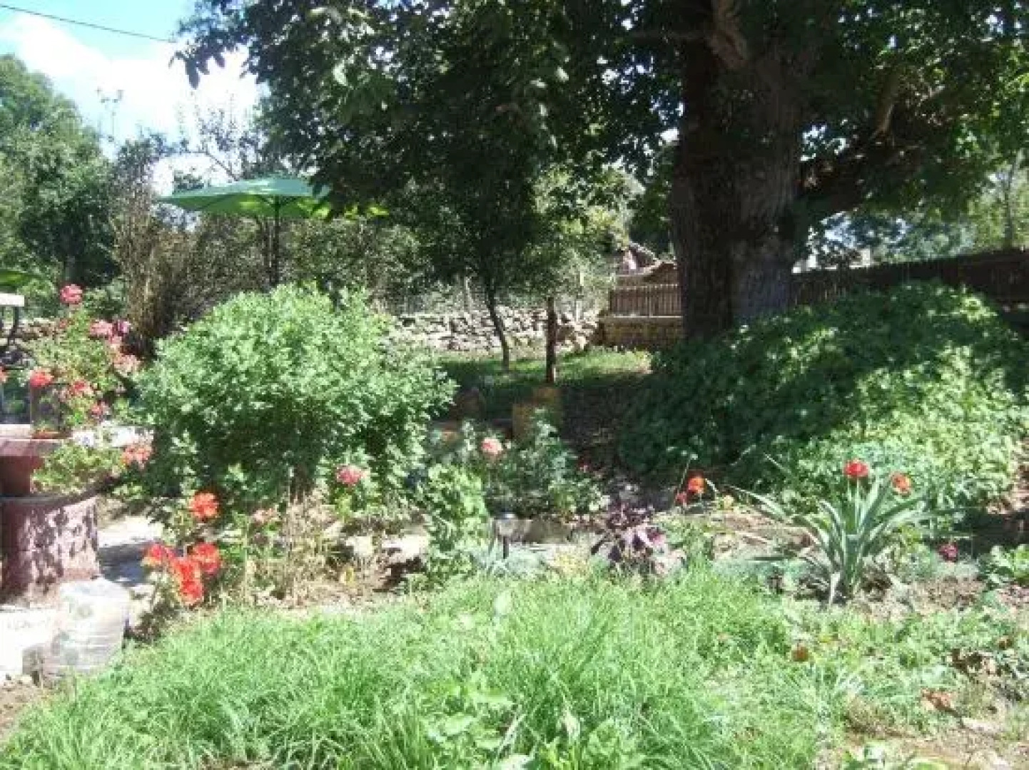 Vitanova Guest House