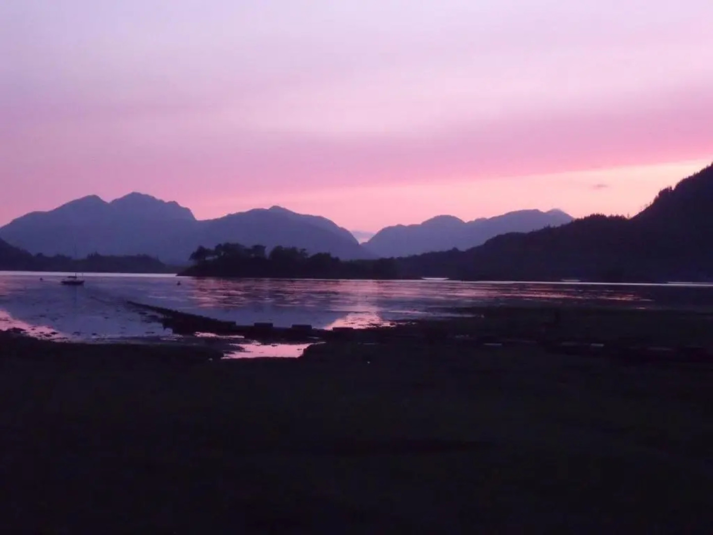 Beechwood Cottage B&B