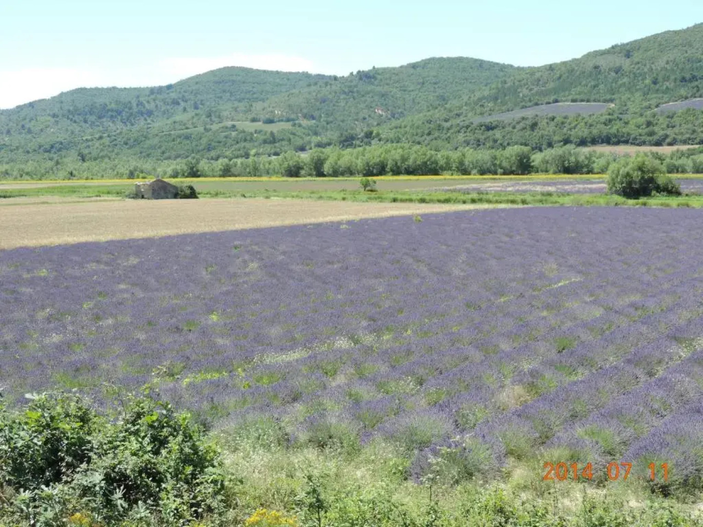 Les Cigales dEstoublon