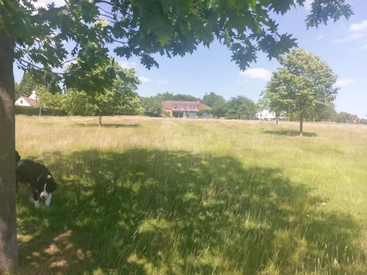 La Petite Bruyere De Renaix