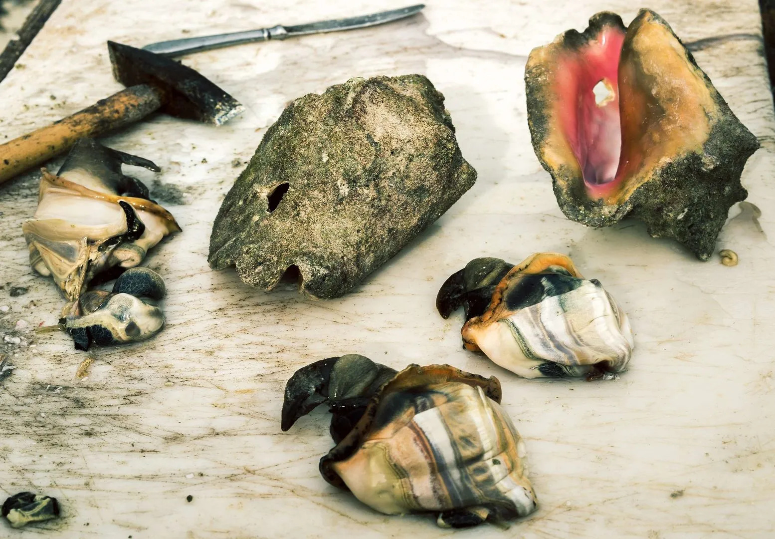 Grand Isle Resort & Residences