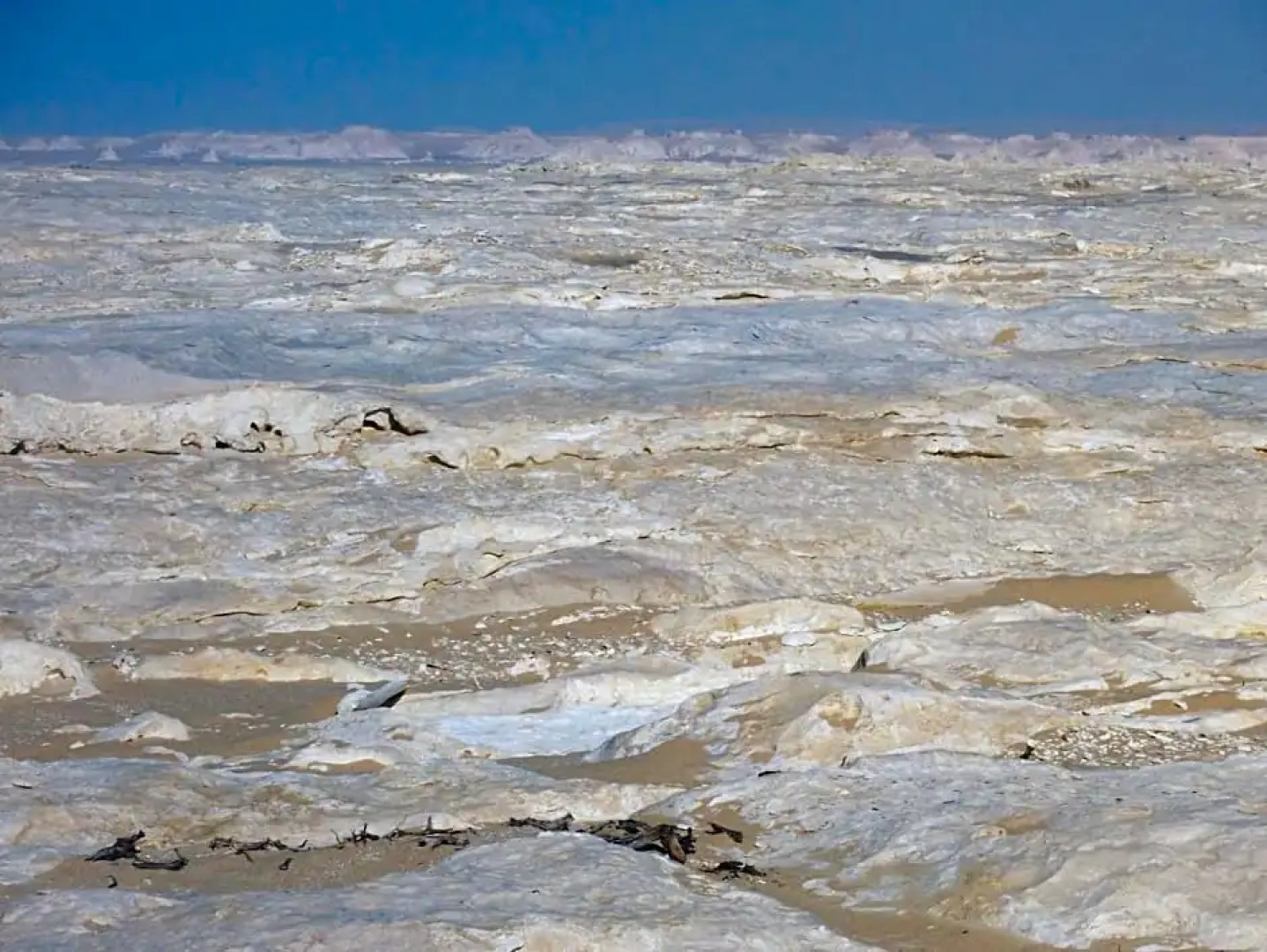 Western Desert Hotel & Safari