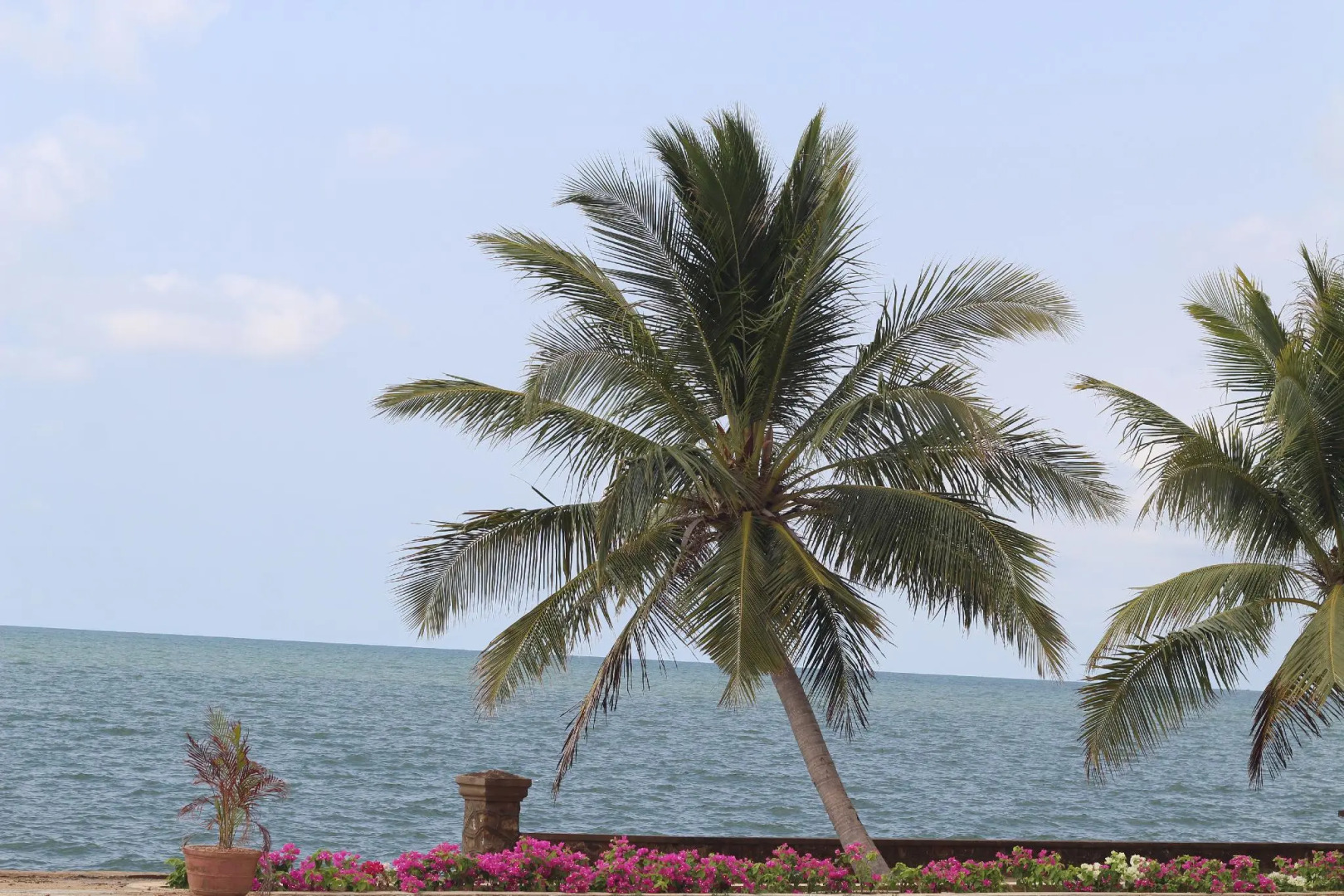 Rock Royal Hotel & Resort