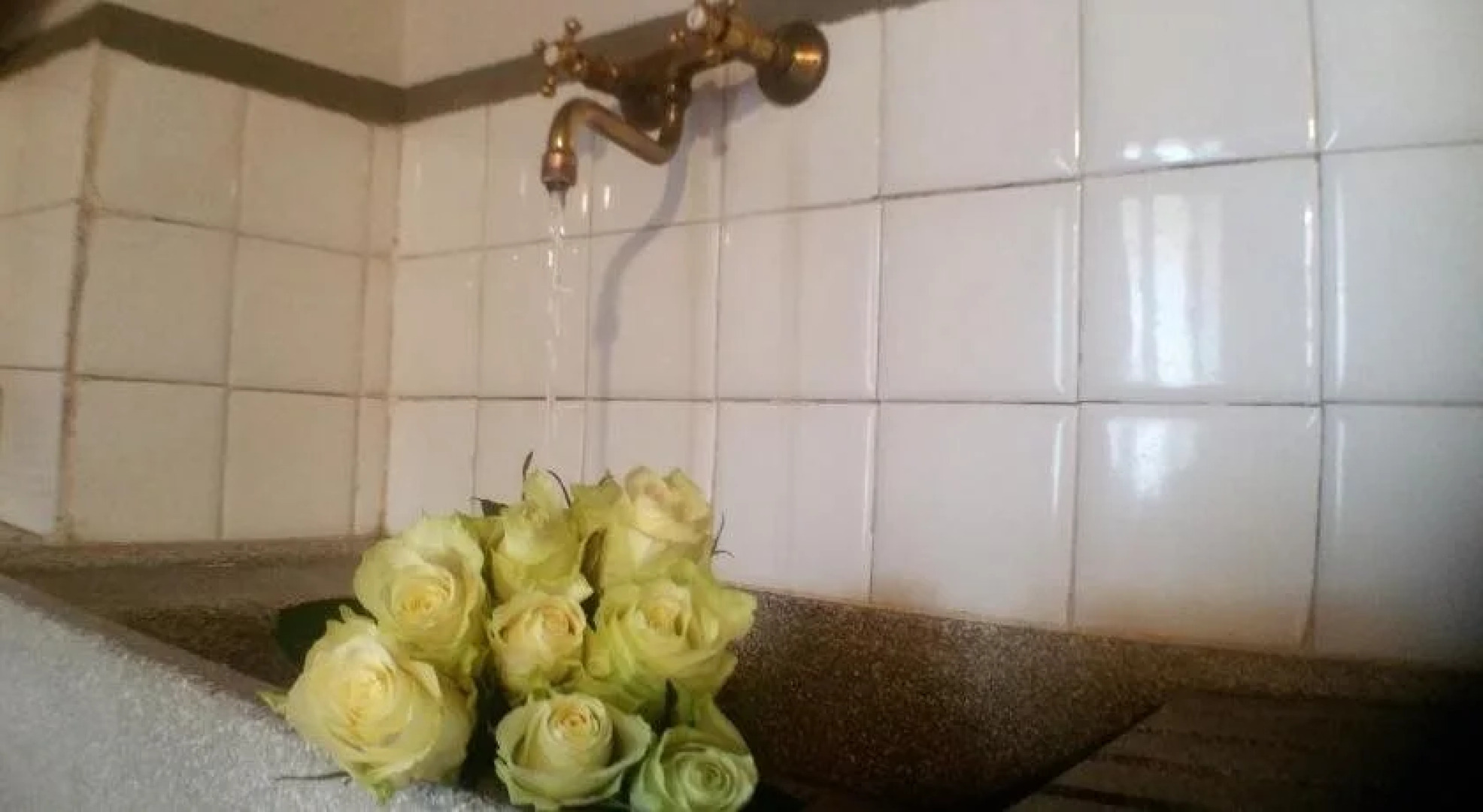 Tenuta Bichi Borghesi