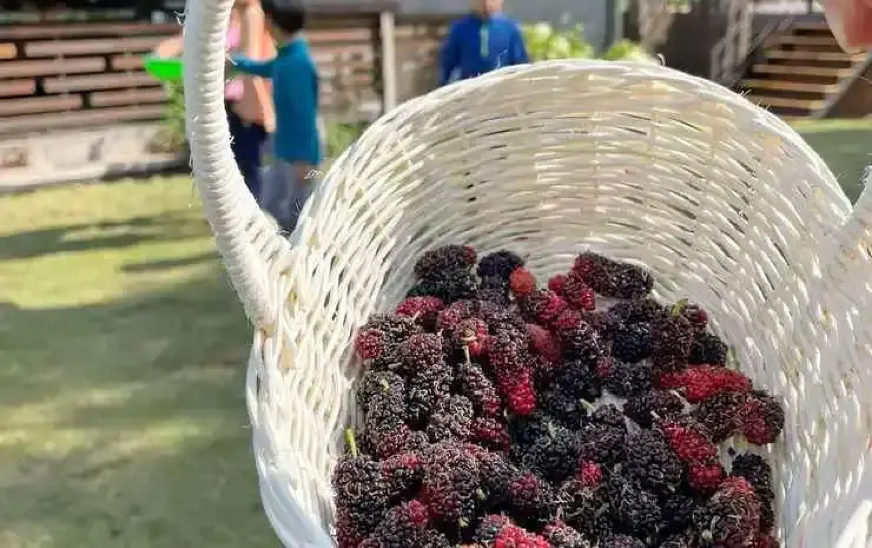 Tantai Eco Farm Stay at Khao Yai