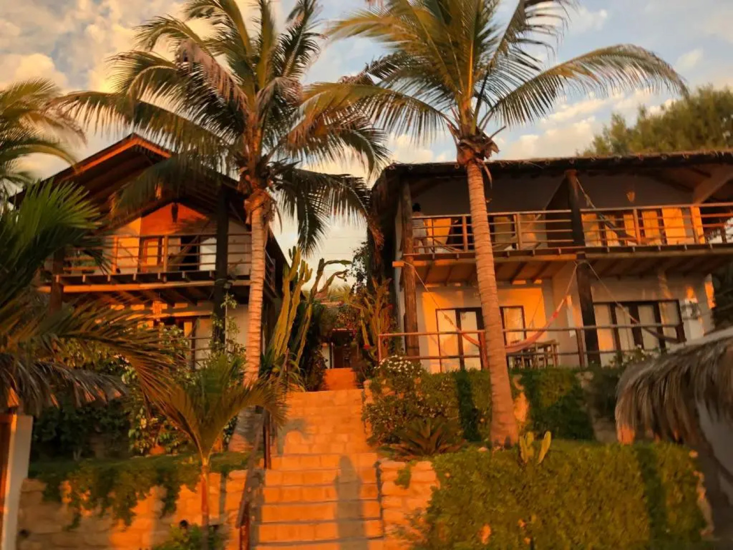 Los Cocos de Vichayito